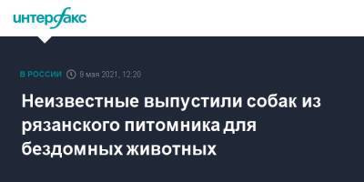 Неизвестные выпустили собак из рязанского питомника для бездомных животных - interfax.ru - Москва - Рязань