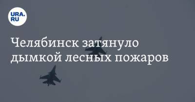Виталий Безруков - Челябинск затянуло дымкой лесных пожаров - ura.news - Челябинск - Экология