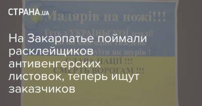 На Закарпатье поймали расклейщиков антивенгерских листовок, теперь ищут заказчиков - strana.ua - Берегово