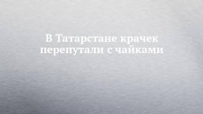 В Татарстане крачек перепутали с чайками - chelny-izvest.ru - респ. Татарстан - Нижнекамск