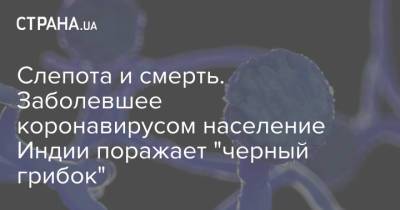 Слепота и смерть. Заболевшее коронавирусом население Индии поражает "черный грибок" - strana.ua - Индия
