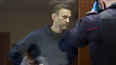 Навальный - Западные правозащитники попытались притянуть Навального к повестке Дня Победы - polit.info