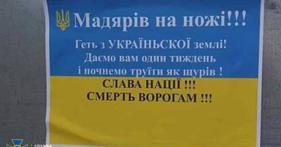"Начнем травить, как крыс": на Закарпатье наемники по заказу РФ расклеивали листовки с угрозами венграм (6 фото) - tsn.ua - Россия - Венгрия - Луганск - Закарпатская обл. - Берегово