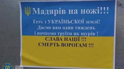 СБУ викрила злочинців, які поширювали антиугорські листівки на Закарпатті - hubs.ua - Венгрия - Росія - місто Луганськ