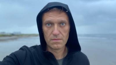 Борис Вишневский - Навальный - Партия "Яблоко" пытается привлечь внимание сторонников Навального - polit.info - Санкт-Петербург