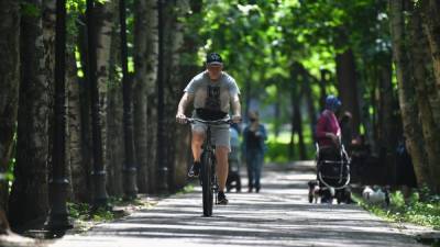 Евгений Тишковец - Когда в Москве установится летнее тепло, сообщили синоптики - profile.ru - Москва