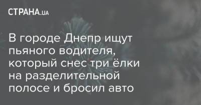 В городе Днепр ищут пьяного водителя, который снес три ёлки на разделительной полосе и бросил авто - strana.ua - Львов - Днепр