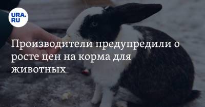 Виктория Абрамченко - Производители предупредили о росте цен на корма для животных - ura.news