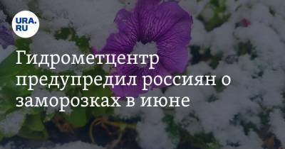 Людмила Паршина - Гидрометцентр предупредил россиян о заморозках в июне - ura.news - Тверская обл. - Ярославская обл. - Ивановская обл.