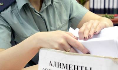 Правительство подготовило законопроект об уголовной ответственности за неуплату алиментов - og.ru