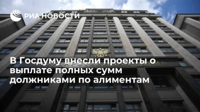 В Госдуму внесли проекты о выплате полных сумм должниками по алиментам - ria.ru - Москва - Россия