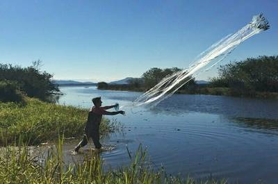 Рыбоводство в крупных прудах на водотоках предлагают упростить - pnp.ru