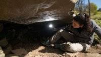 В Шотландии археолог-любитель нашел редчайший доисторический барельеф - vlasti.net - Шотландия