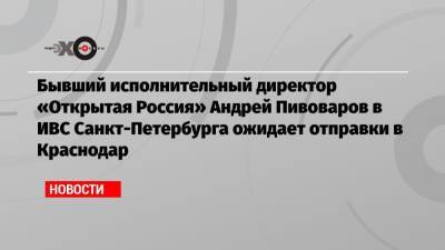 Андрей Пивоваров - Бывший исполнительный директор «Открытая Россия» Андрей Пивоваров в ИВС Санкт-Петербурга ожидает отправки в Краснодар - echo.msk.ru - Санкт-Петербург - Краснодар