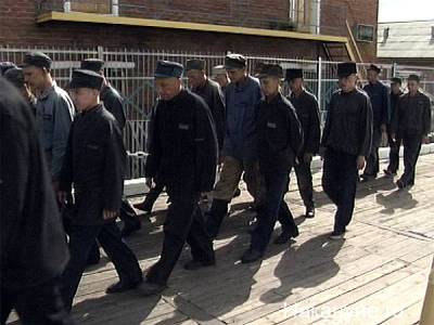 Россияне выступили за привлечение заключенных к труду вместо мигрантов - nakanune.ru - Россияне