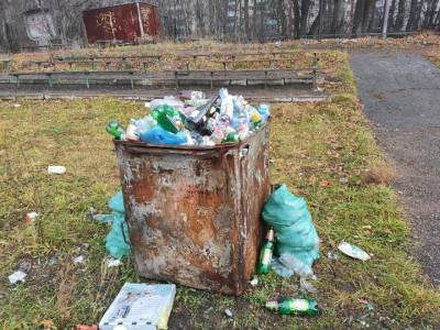 Причиной переполненных мусорных контейнеров во дворах Уфы назвали уклонение предпринимателей заключать договоры с регоператором - ufacitynews.ru - Уфа