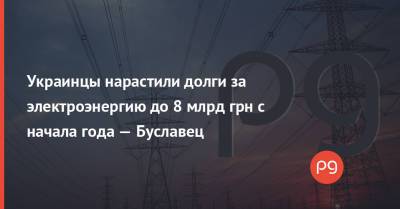 Ольга Буславец - Украинцы нарастили долги за электроэнергию до 8 млрд грн с начала года — Буславец - thepage.ua