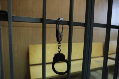 В Новосибирской области арестован подозреваемый в сексуальном насилии над 9-летней девочкой - runews24.ru - Новосибирская обл. - Бердск
