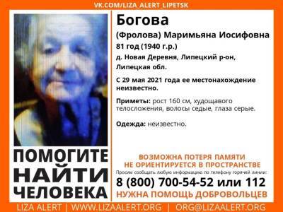 Две пенсионерки пропали в Липецкой области - lipetskmedia.ru - Липецкая обл. - район Елецкий