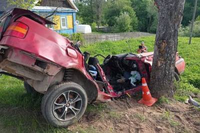 «Раздавило машину»: Три человека погибли в ДТП под Куньей - mk-pskov.ru - Псковская обл. - Псков