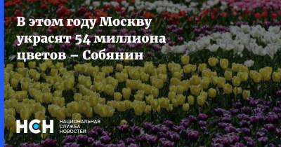 Сергей Собянин - В этом году Москву украсят 54 миллиона цветов – Собянин - nsn.fm - Москва - Благоустройство