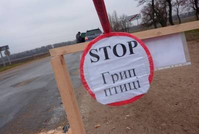 В Китае человек заразился новым штаммом птичьего гриппа - kp.ua