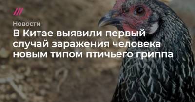 В Китае выявили первый случай заражения человека новым типом птичьего гриппа - tvrain.ru - Новосибирск