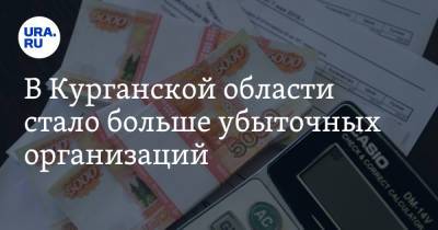 В Курганской области стало больше убыточных организаций - ura.news - Курганская обл.