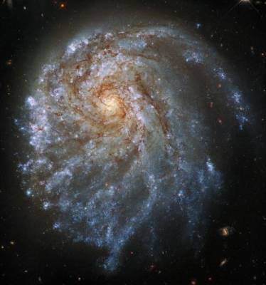 Телескоп Хаббл обнаружил деформированную гравитацией галактику - techno.bigmir.net