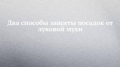 Два способы защиты посадок от луковой мухи - chelny-izvest.ru