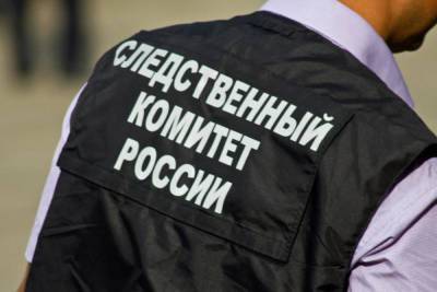 Рязанца будут судить за убийство приятеля на почве ревности - rzn.mk.ru - Рязань