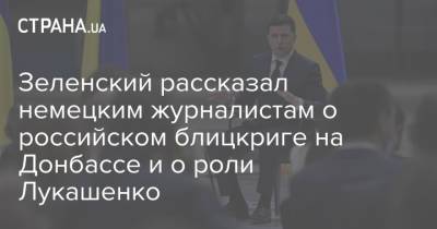 Владимир Зеленский - Зеленский рассказал немецким журналистам о российском блицкриге на Донбассе и о роли Лукашенко - strana.ua - Россия - Крым - Луганская обл. - Донбасс - Донецкая обл.