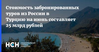 Дмитрий Горин - Стоимость забронированных туров из России в Турцию на июнь составляет 25 млрд рублей - nsn.fm - Турция