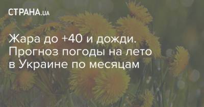 Николай Кульбида - Леонид Горбаня - Жара до +40 и дожди. Прогноз погоды на лето в Украине по месяцам - strana.ua - Киев - Одесса
