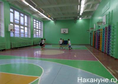В уральской школе учителей наказали за травмы детей во время уроков - nakanune.ru - Свердловская обл.