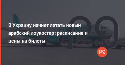 В Украину начнет летать новый арабский лоукостер: расписание и цены на билеты - thepage.ua - Киев - Турция - Саудовская Аравия - Эмираты - Стамбул - Катар - Мининфраструктуры