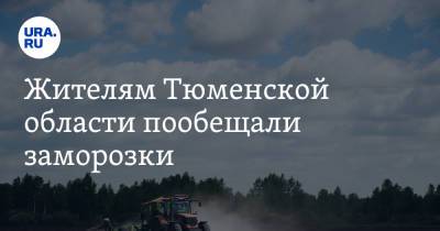 Жителям Тюменской области пообещали заморозки - ura.news - Тюменская обл.