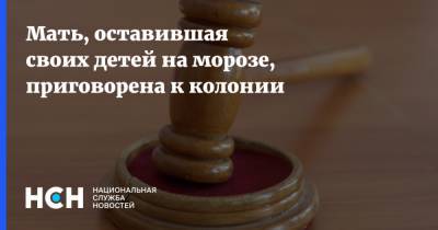 Руслан Галиев - Мать, оставившая своих детей на морозе, приговорена к колонии - nsn.fm - респ. Татарстан
