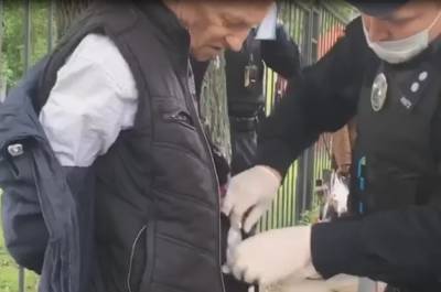 Пенсионер с ножом набросился на девушку, угрожая взять в заложники: "схватил за волосы и..." - politeka.net - Киев - район Голосеевский - Нападение