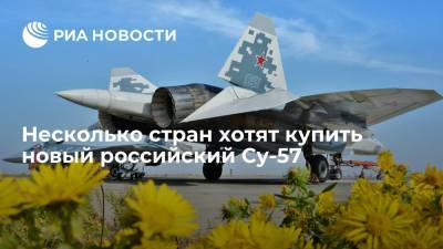 Александр Михеев - Несколько стран хотят купить новый российский Су-57 - ria.ru - Москва - Россия