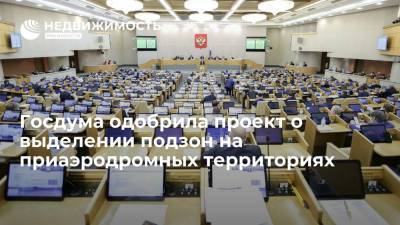 Госдума одобрила проект о выделении подзон на приаэродромных территориях - realty.ria.ru - Москва - Россия