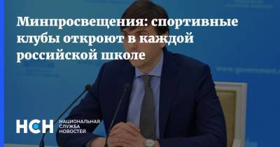 Сергей Кравцов - Минпросвещения: спортивные клубы откроют в каждой российской школе - nsn.fm - Россия