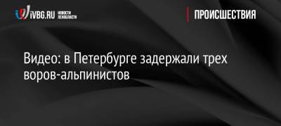 Видео: в Петербурге задержали трех воров-альпинистов - ivbg.ru - Ленинградская обл. - Санкт-Петербург - Петербург