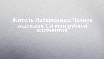 Житель Набережных Челнов задолжал 1,4 млн рублей алиментов - chelny-izvest.ru - респ. Татарстан - Набережные Челны