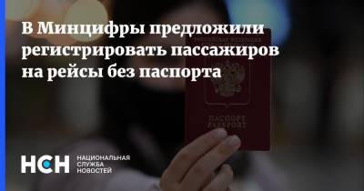 Максут Шадаев - В Минцифры предложили регистрировать пассажиров на рейсы без паспорта - nsn.fm