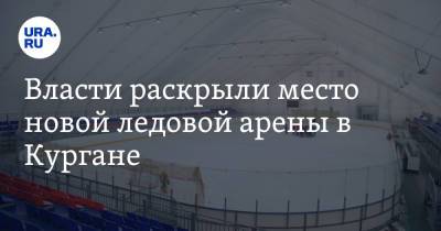 Александр Васильев - Власти раскрыли место новой ледовой арены в Кургане - ura.news
