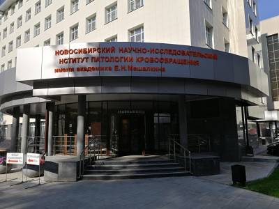Дело о растрате 1,9 млрд рублей в новосибирской клинике Мешалкина ушло в суд - runews24.ru - Новосибирск - Новосибирская обл.