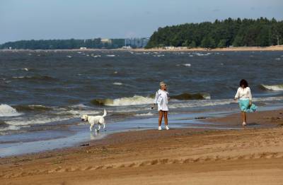 Названы городские пляжи Петербурга на которых можно купаться - neva.today - Санкт-Петербург