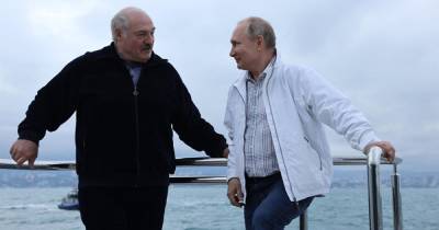 Владимир Путин - Александр Лукашенко - Лукашенко передал Путину аналитику белорусских спецслужб - ren.tv - Китай - Сочи - Минск