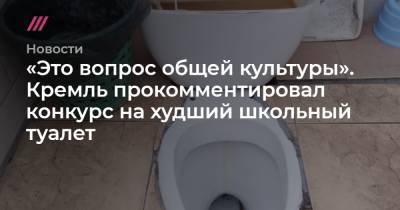 «Это вопрос общей культуры». Кремль прокомментировал конкурс на худший школьный туалет - tvrain.ru - Волгоград - Чебоксары - Нефтекамск - Междуреченск